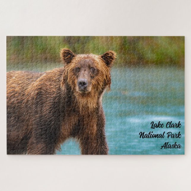 Lake Clark National Park Grizzly Bear (Horizontal)