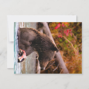 Lake Clark Nationalpark Alaska Postkarte