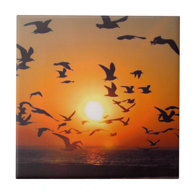 Lake Erie Birds Orange Sunset Foto Fliese (Vorderseite)