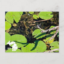 Lake Erie Metropark Dragonfly mit Logo