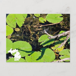 Lake Erie Metropark Dragonfly mit Logo Postkarte
