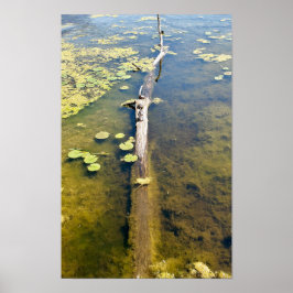 Lake Erie Metropark Turtle Log Horizontal Poster