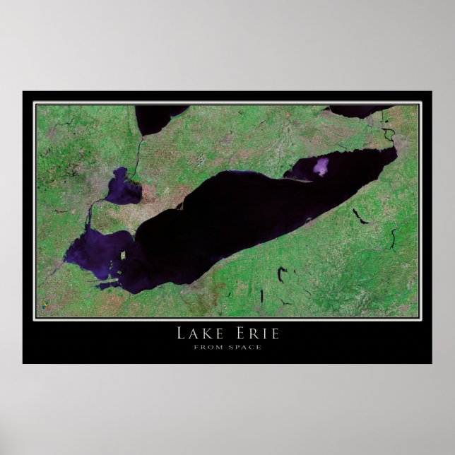 Lake Erie Satellite Poster Karte (Vorne)
