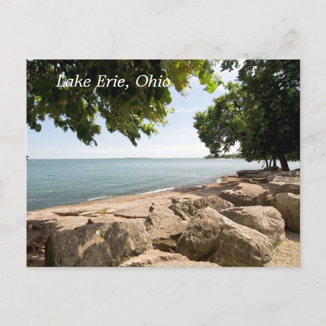 Lake Erie Shore Postcard Postkarte (Vorderseite)
