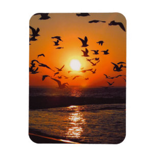 Lake Erie Sonnenuntergang Magnet