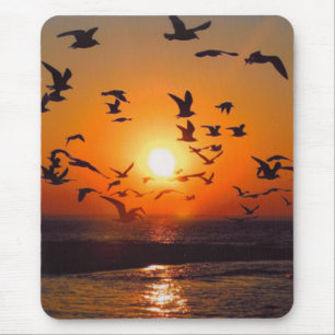 Lake Erie Sonnenuntergang Mousepad