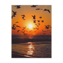 Lake Erie Sunset