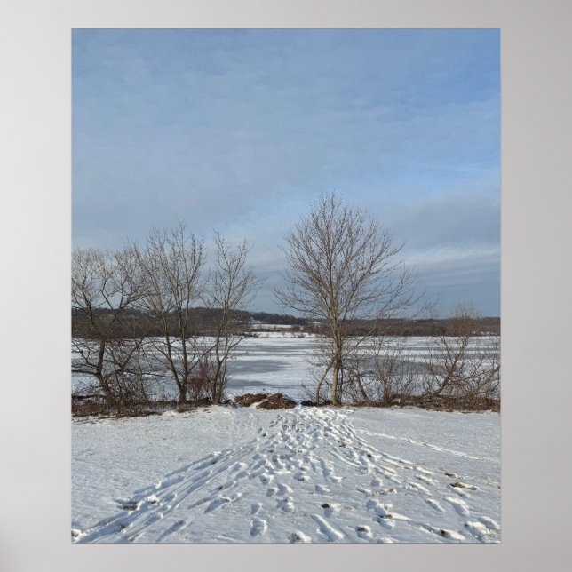 Lake Galena Winter Poster (Vorne)