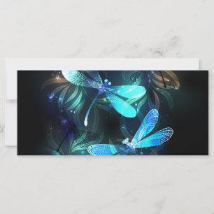 Lake Glows Dragonflies