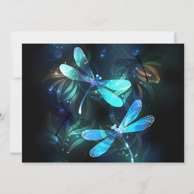 Lake Glows Dragonflies (Vorderseite)