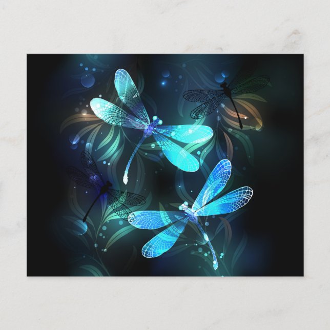 Lake Glows Dragonflies Flyer (Vorne)