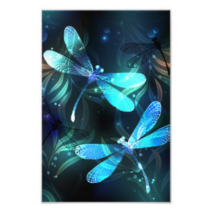 Lake Glows Dragonflies Fotodruck