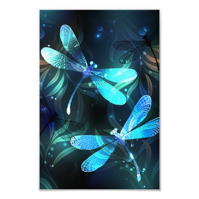 Lake Glows Dragonflies Fotodruck (Vorne)