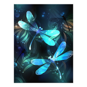 Lake Glows Dragonflies Fotodruck