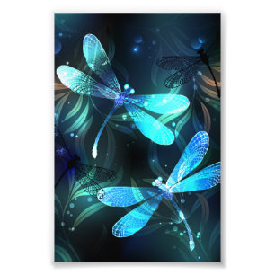 Lake Glows Dragonflies Fotodruck