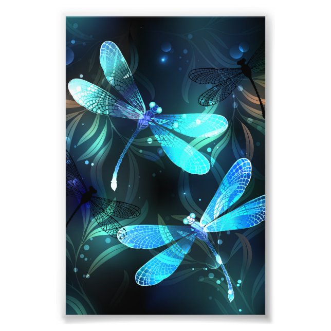 Lake Glows Dragonflies Fotodruck (Vorne)