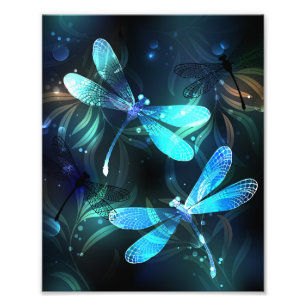 Lake Glows Dragonflies Fotodruck