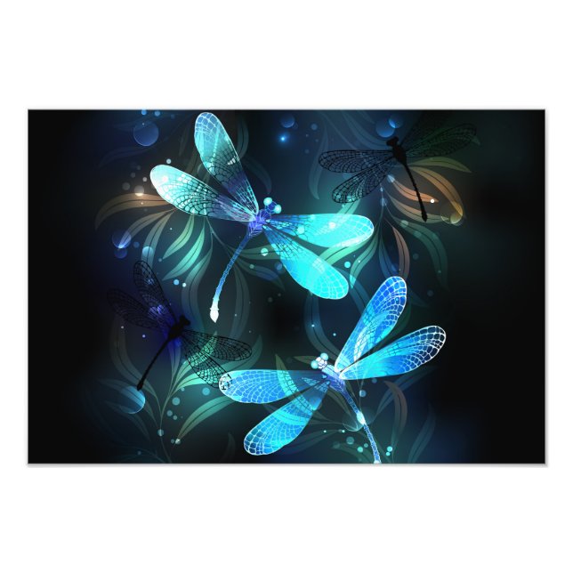 Lake Glows Dragonflies Fotodruck (Vorne)
