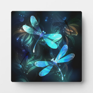 Lake Glows Dragonflies Fotoplatte