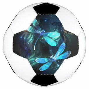 Lake Glows Dragonflies Fußball