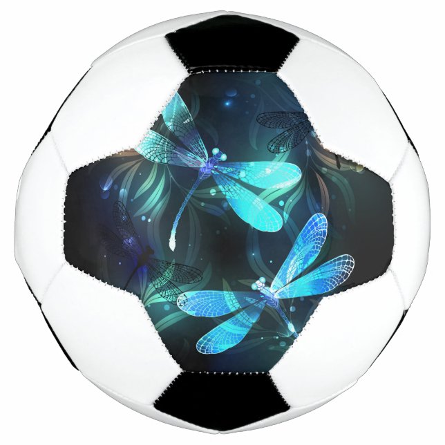 Lake Glows Dragonflies Fußball (Vorderseite)