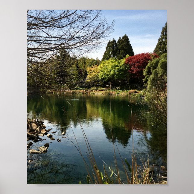 Lake Landscape Poster (Vorne)