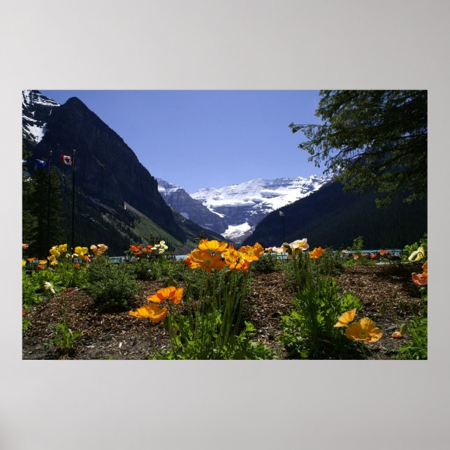 Lake Louise Poster (Vorne)