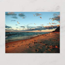 Lake Michigan Gulls Magic Hour Sunset Seascape Postkarte