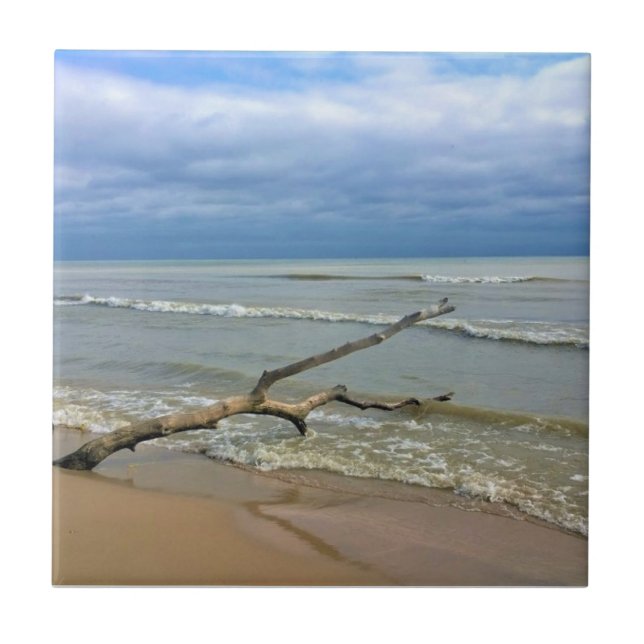 Lake Michigan, Sheboygan, Wisconsin Fliese (Vorderseite)