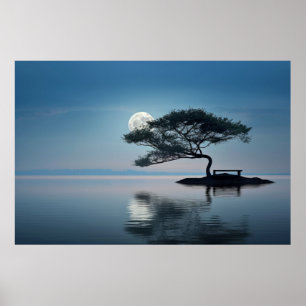Lake Mist Moon Leicht ruhig Friedlich Poster