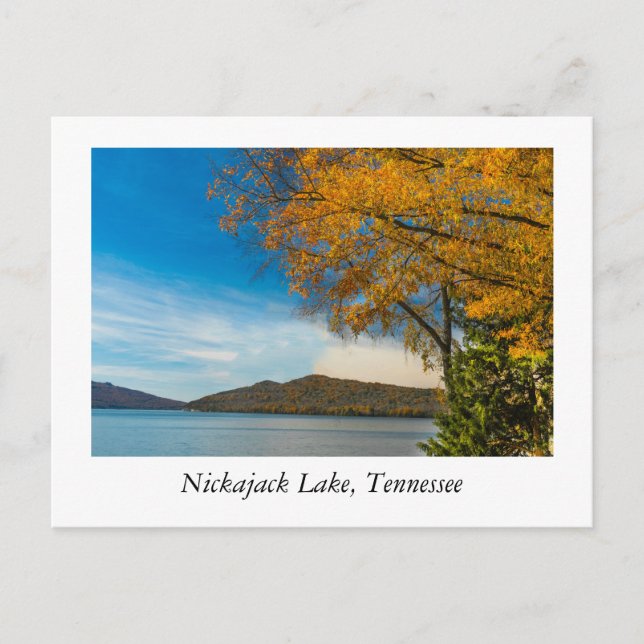 Lake Nickajack Tennessee Postkarte (Vorderseite)