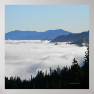 Lake of  Fog.... Poster