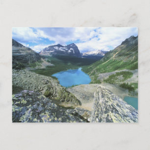 Lake O'Hara, Yoho NP, BC, Kanada Postkarte