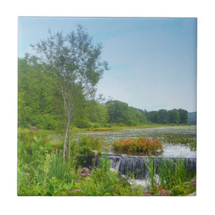 Lake Quanipaug Trivet Fliese