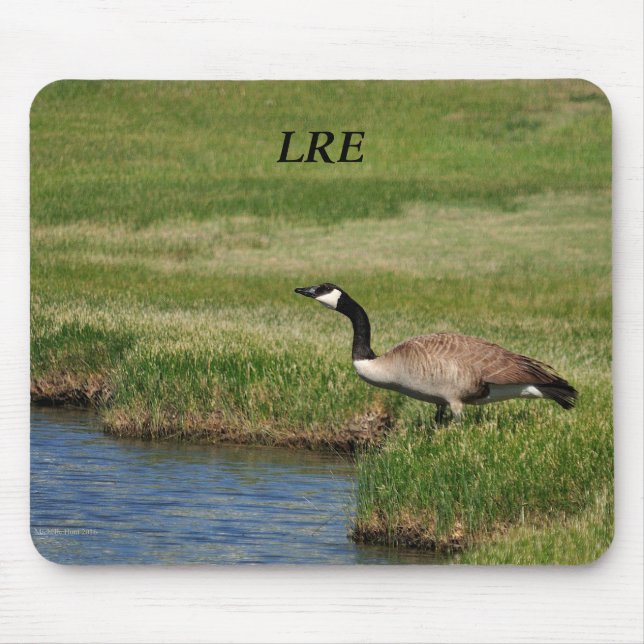 Lake Riverside Anwesens Mousepad (Vorne)