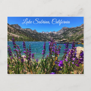 Lake Sabrina California Postcard Postkarte