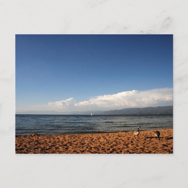 Lake Tahoe Postkarte (Vorderseite)
