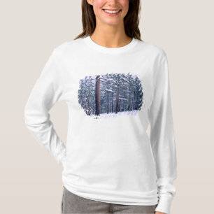 LAKE TAHOE STAAT PARK, NEVADA. USA. Frischer Schne T-Shirt