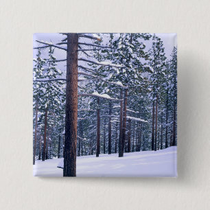 LAKE TAHOE STATE PARK, NEVADA. USA. Frischer Schne Button