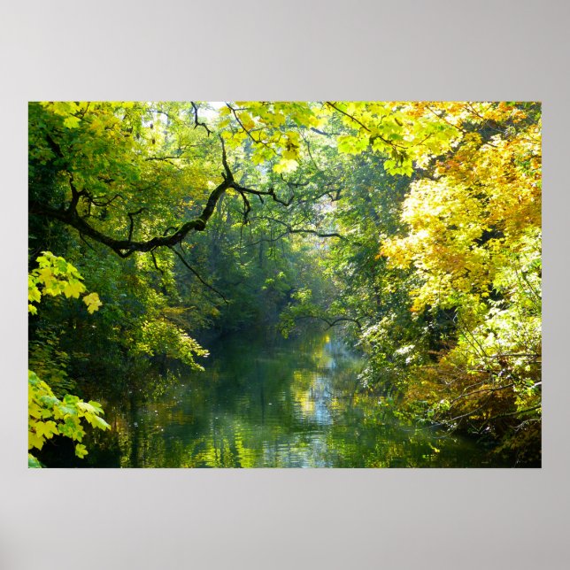 Lake & Trees Poster (Vorne)