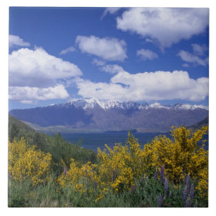 Lake Wakatipu und The Remarkables, Queenstown, Fliese