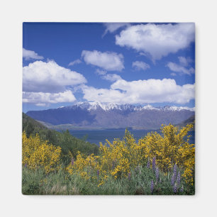 Lake Wakatipu und The Remarkables, Queenstown, Magnet