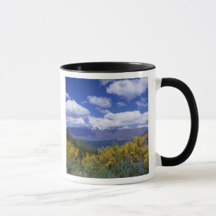 Lake Wakatipu und The Remarkables, Queenstown, Tasse