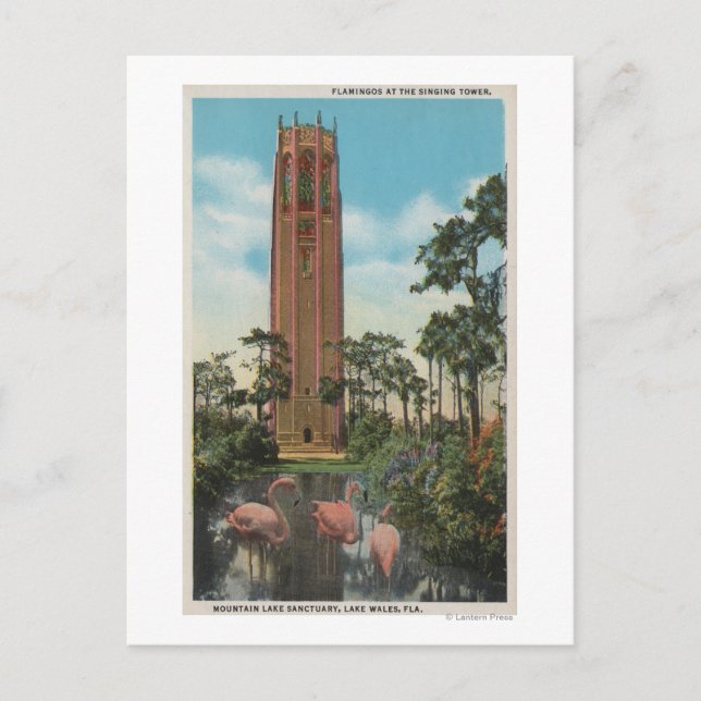 Lake Wales, FL - View of Singing Postkarte (Vorderseite)