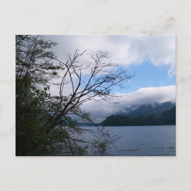 Lake Whatcom Postkarte (Vorderseite)