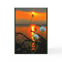 Lake Winnebago Sunset Toute carte d'occasion