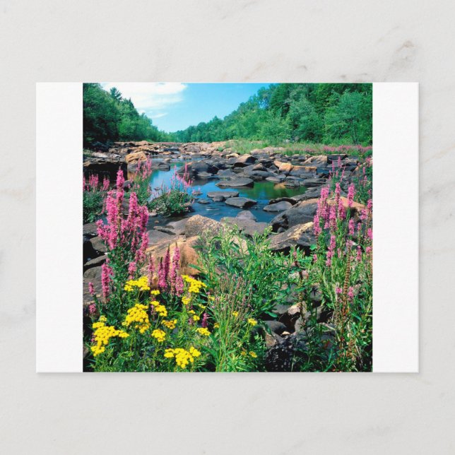 Lake Wisconsin River Ice Age Reserve Wisconsin Postkarte (Vorderseite)