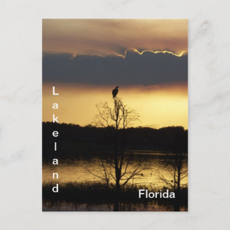 Lakeland Floride Sunset 139 Carte postale
