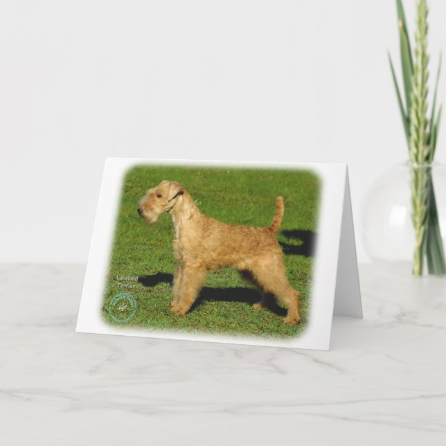 Lakeland Terrier 9P002D-026 Karte (Vorderseite)