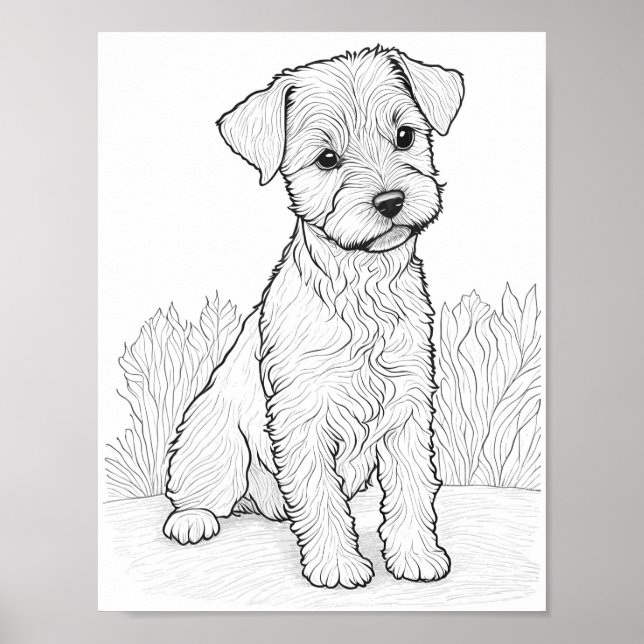 Lakeland Terrier Dog Aduloring Poster (Vorne)